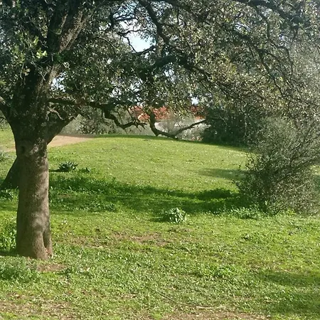 La De La Cigarra Casa vacanze